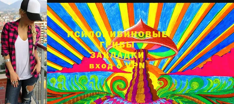 Псилоцибиновые грибы Magic Shrooms  Белая Холуница 